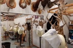 13700139_534583390067389_2150941933627473217_n