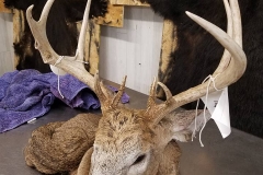 14642351_569489146576813_6237089590462174756_n